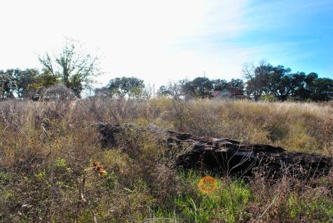 99 Grove Court Fredericksburg TX 78624