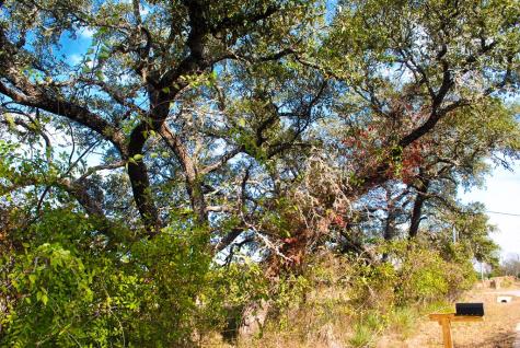 99 Grove Court Fredericksburg TX 78624