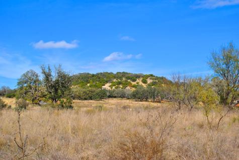 99 Grove Court Fredericksburg TX 78624