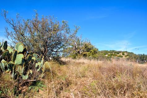 99 Grove Court Fredericksburg TX 78624
