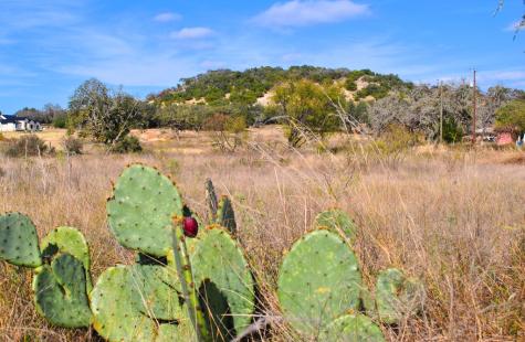 99 Grove Court Fredericksburg TX 78624