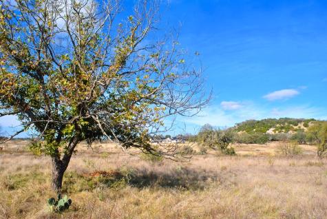 99 Grove Court Fredericksburg TX 78624