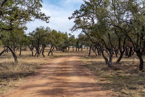 20400 Fm 2093 Fredericksburg TX 78631