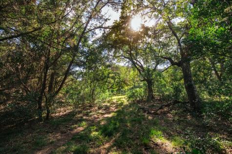 2581 Patterson Creek Road Leakey TX 78873