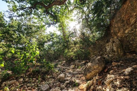 2581 Patterson Creek Road Leakey TX 78873