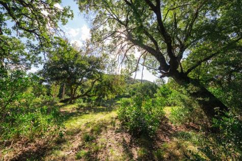 2581 Patterson Creek Road Leakey TX 78873