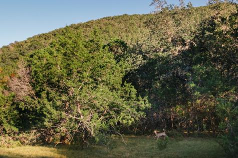 2581 Patterson Creek Road Leakey TX 78873