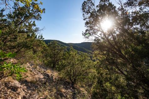 2581 Patterson Creek Road Leakey TX 78873