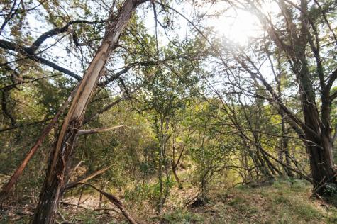 2581 Patterson Creek Road Leakey TX 78873