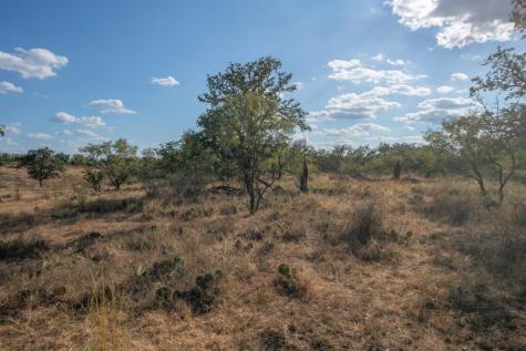 Mason TX 76842