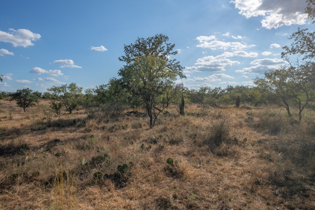 Mason TX 76842