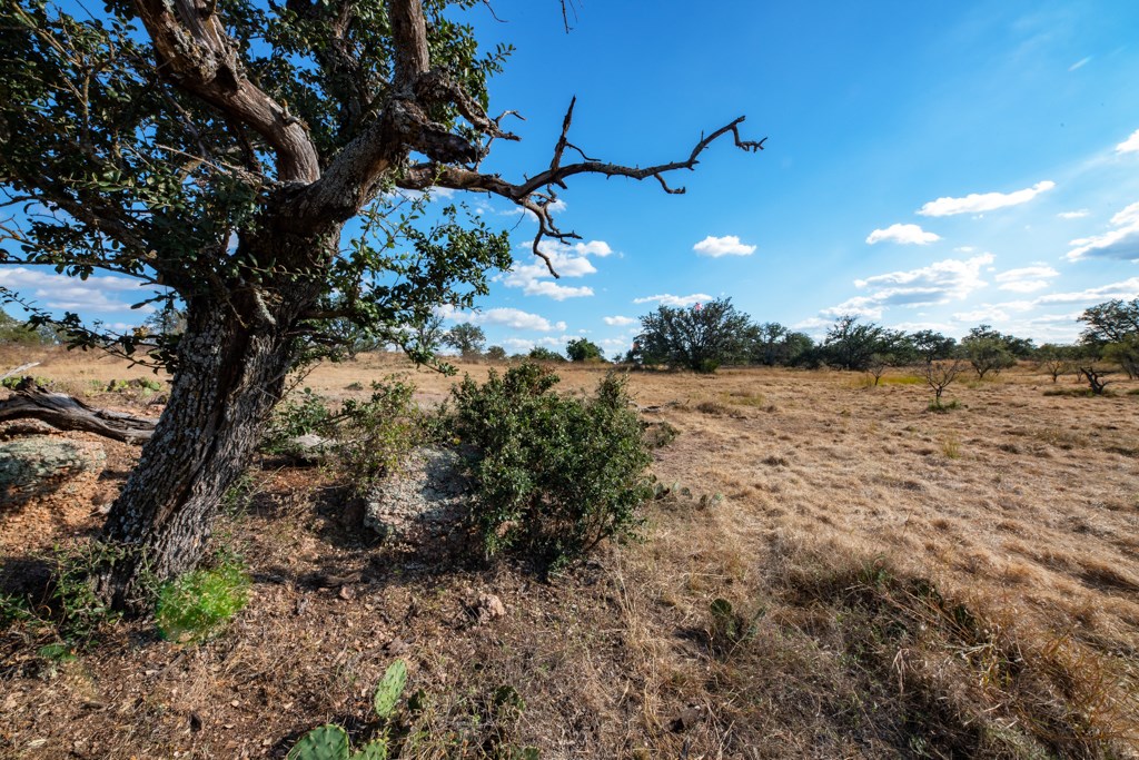 Mason TX 76842