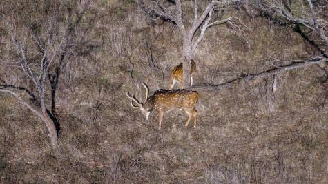 485 Fulton Ranch Road Stonewall TX 78671