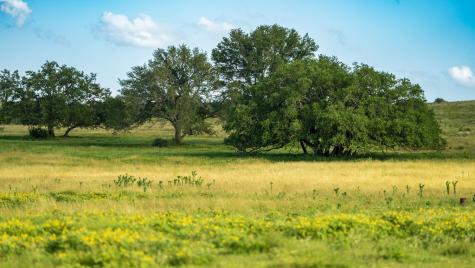 302 Hye/albert Road Hye TX 78635