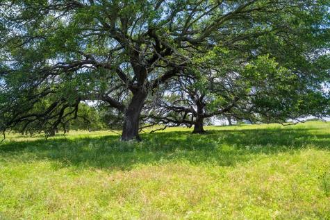 302 Hye/albert Road Hye TX 78635