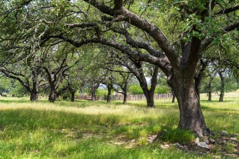 302 Hye/albert Road Hye TX 78635