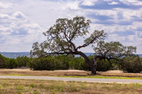 422 Dark Sky Path Kerrville TX 78028