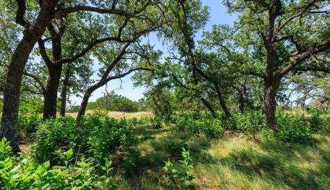 0000 Bridle Path Way Fredericksburg TX 78624