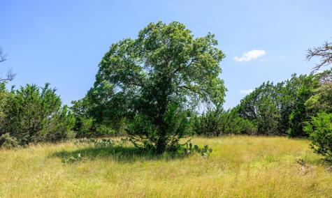 0000 Bridle Path Way Fredericksburg TX 78624