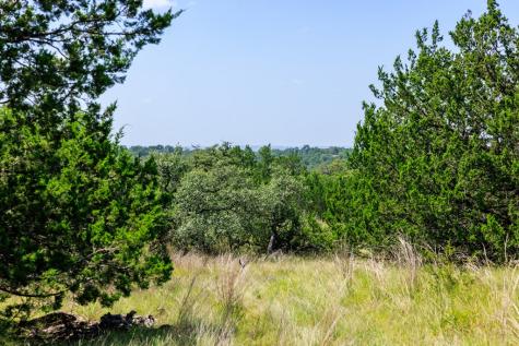 0000 Bridle Path Way Fredericksburg TX 78624