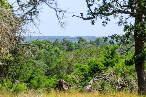 0000 Bridle Path Way Fredericksburg TX 78624