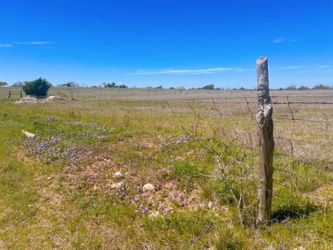 364 Cut Off Road Fredericksburg TX 78624