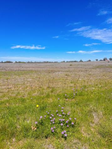 364 Cut Off Road Fredericksburg TX 78624