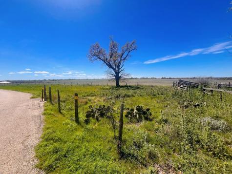 364 Cut Off Road Fredericksburg TX 78624