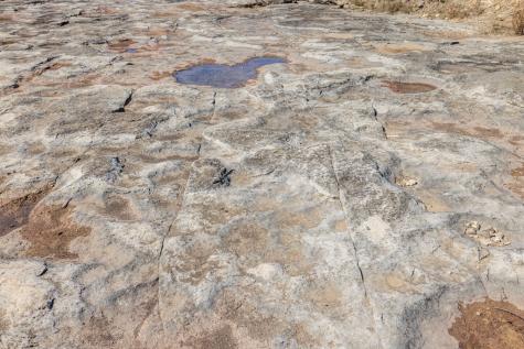 203 Rheingold School Road Fredericksburg TX 78624