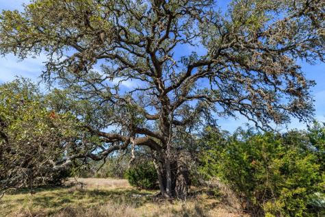 203 Rheingold School Road Fredericksburg TX 78624