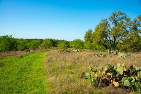 203 Rheingold School Road Fredericksburg TX 78624