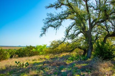 203 Rheingold School Road Fredericksburg TX 78624