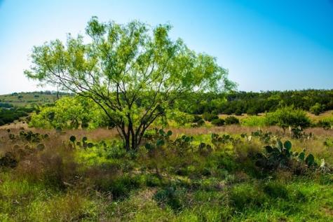 203 Rheingold School Road Fredericksburg TX 78624