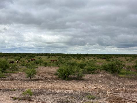 Tbd County Road 408 Eldorado TX 76936