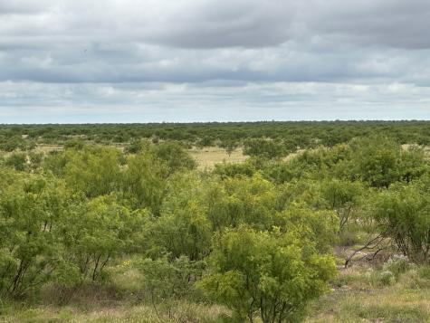 Tbd County Road 408 Eldorado TX 76936
