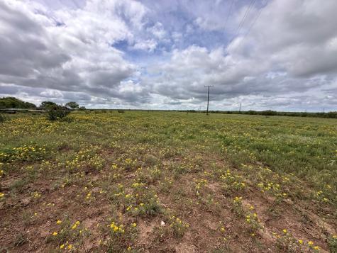 Tbd County Road 408 Eldorado TX 76936
