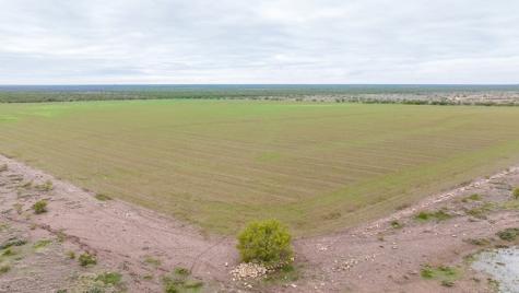 Tbd County Road 408 Eldorado TX 76936