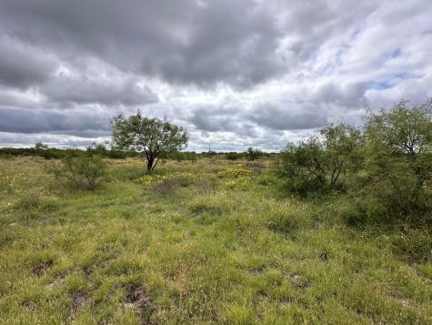 Tbd County Road 408 Eldorado TX 76936