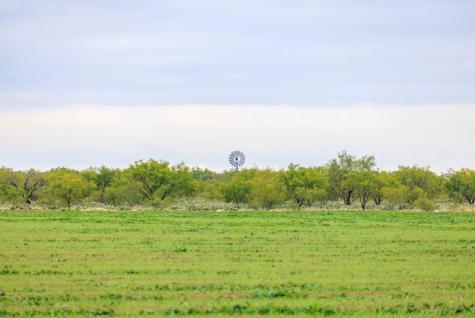 Tbd County Road 408 Eldorado TX 76936
