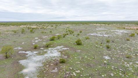 Tbd County Road 408 Eldorado TX 76936