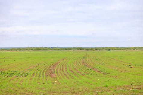 Tbd County Road 408 Eldorado TX 76936