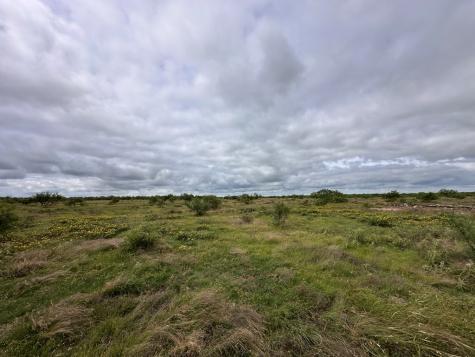 Tbd County Road 408 Eldorado TX 76936