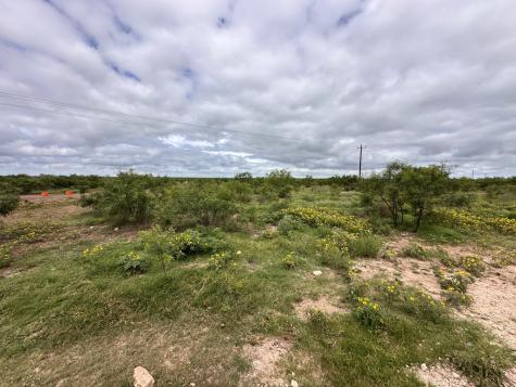 Tbd County Road 408 Eldorado TX 76936