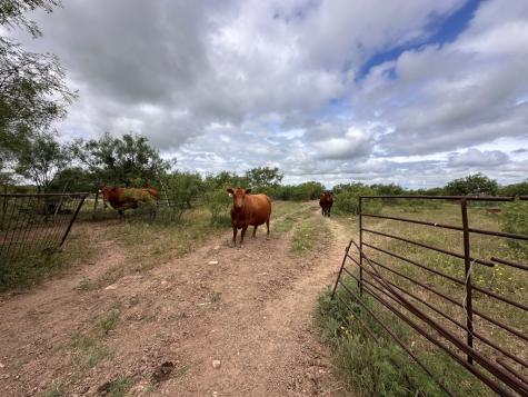 Tbd County Road 408 Eldorado TX 76936