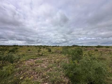 Tbd County Road 408 Eldorado TX 76936