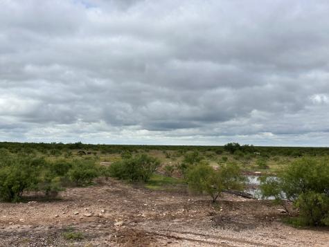 Tbd County Road 408 Eldorado TX 76936