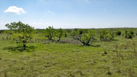 0 County Road 2730 Lometa TX 76853