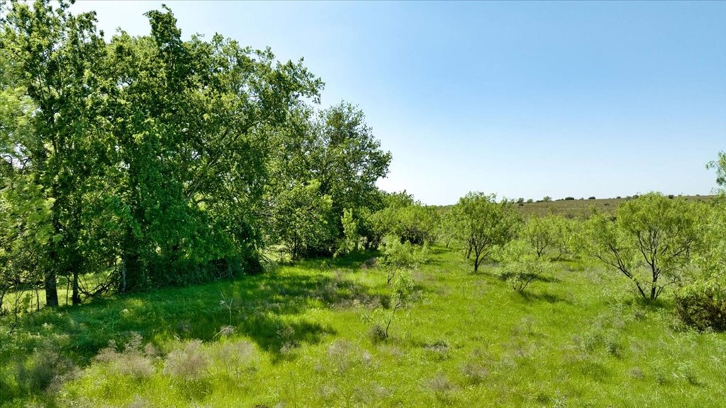 0 County Road 2730 Lometa TX 76853