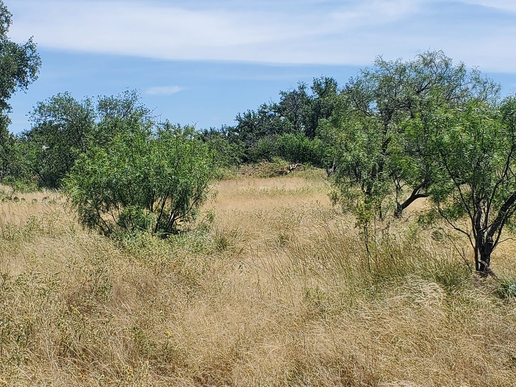 375 Hillside Road Menard TX 76841