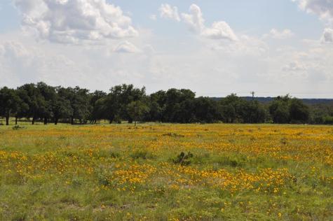17987 Fm 479 Harper TX 78631